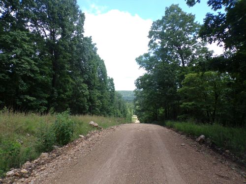 000 +/- 10 Acres Cr 556, Tecumseh, MO, 65760 | Card Image