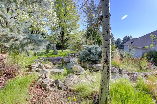 View of yard | Image 60