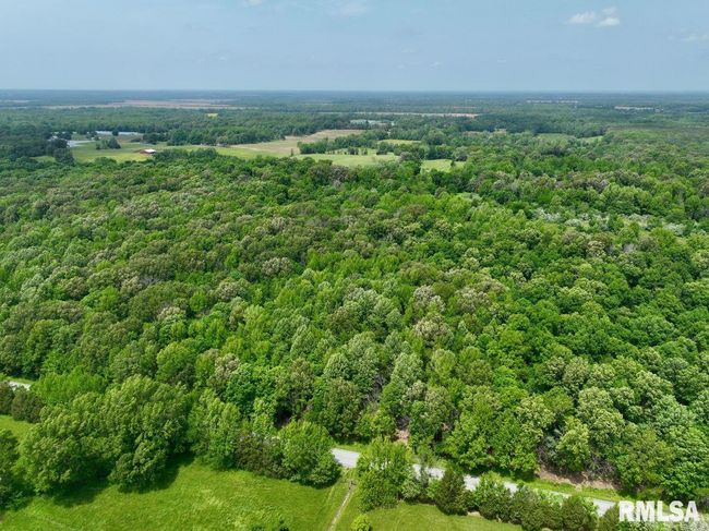 002 Battleford Rd, Home with 0 bedrooms, 0 bathrooms and null parking in Stonefort IL | Image 9