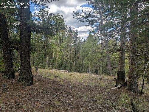 2455 Yorktown Dr, Cripple Creek, CO, 80813 | Card Image