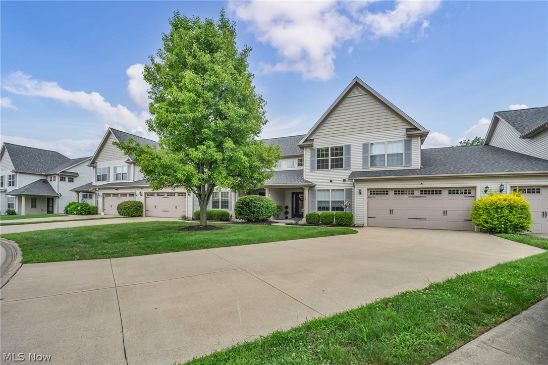 Residential in Eastlake 5