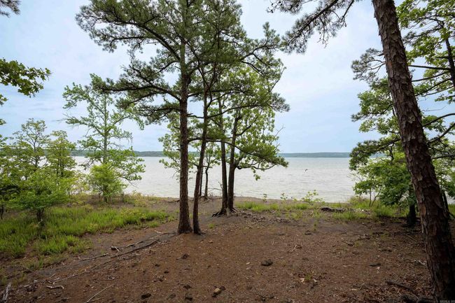 31 Farris Lndg, House other with 4 bedrooms, 3 bathrooms and null parking in Quitman AR | Image 42