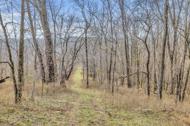 0 Fishing Ford Rd, Home with 0 bedrooms, 0 bathrooms and null parking in Belfast TN | Image 27
