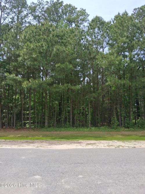 17 Scuppernong River Dr, Hertford, NC, 27944 | Card Image