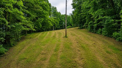 1299 Dixon Town Rd, Prospect, TN, 38477 | Card Image