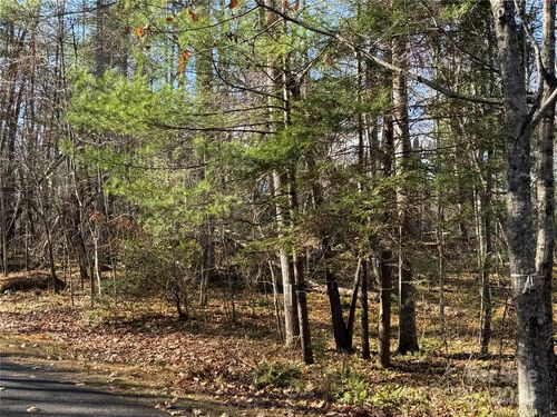 13-137 Nancy Ashworth Ln, Fairview, NC, 28730-8808 | Card Image