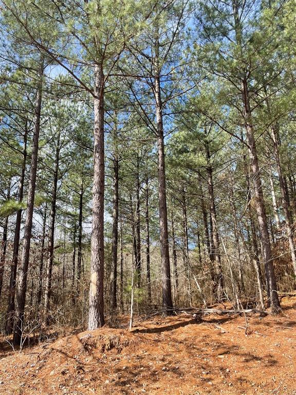 Land in Broken Bow 4