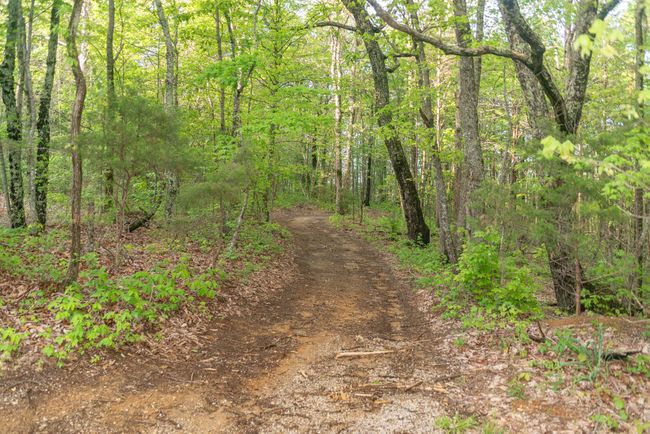 0 Middle Ridge Rd, Home with 0 bedrooms, 0 bathrooms and null parking in Beersheba Springs TN | Image 23