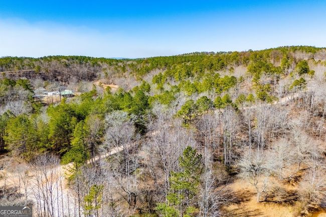 0 County Road 269, Home with 0 bedrooms, 0 bathrooms and null parking in Wedowee AL | Image 28