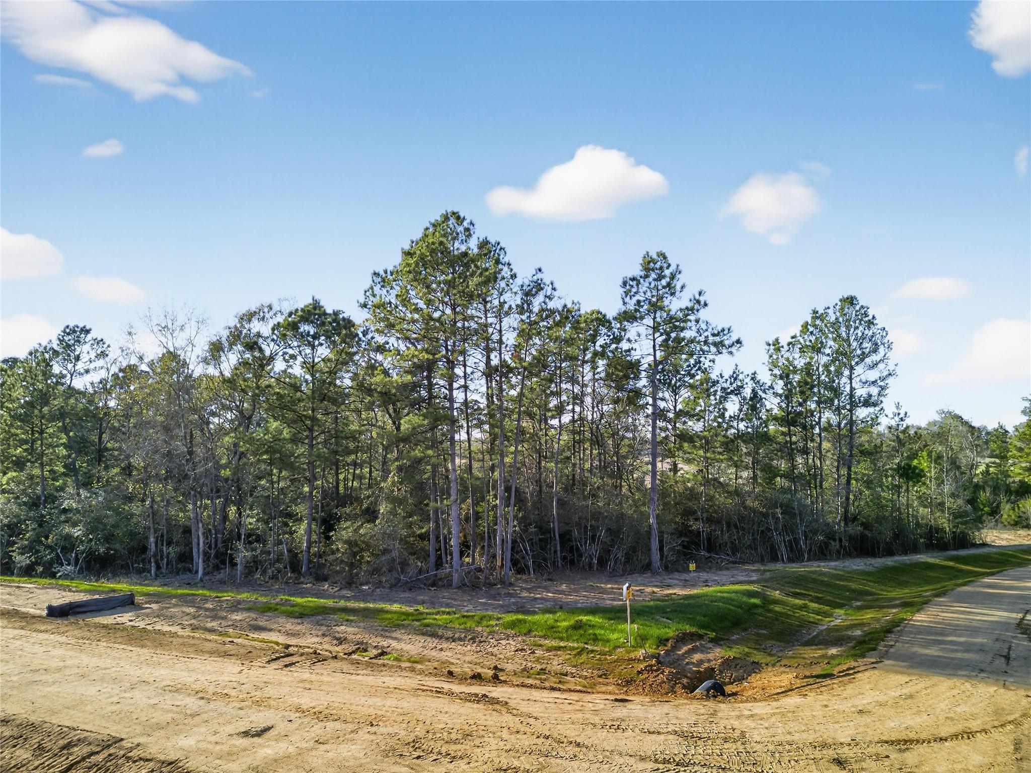 Land in Coldspring 4