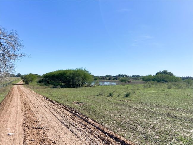 View of big pond from road | Image 6