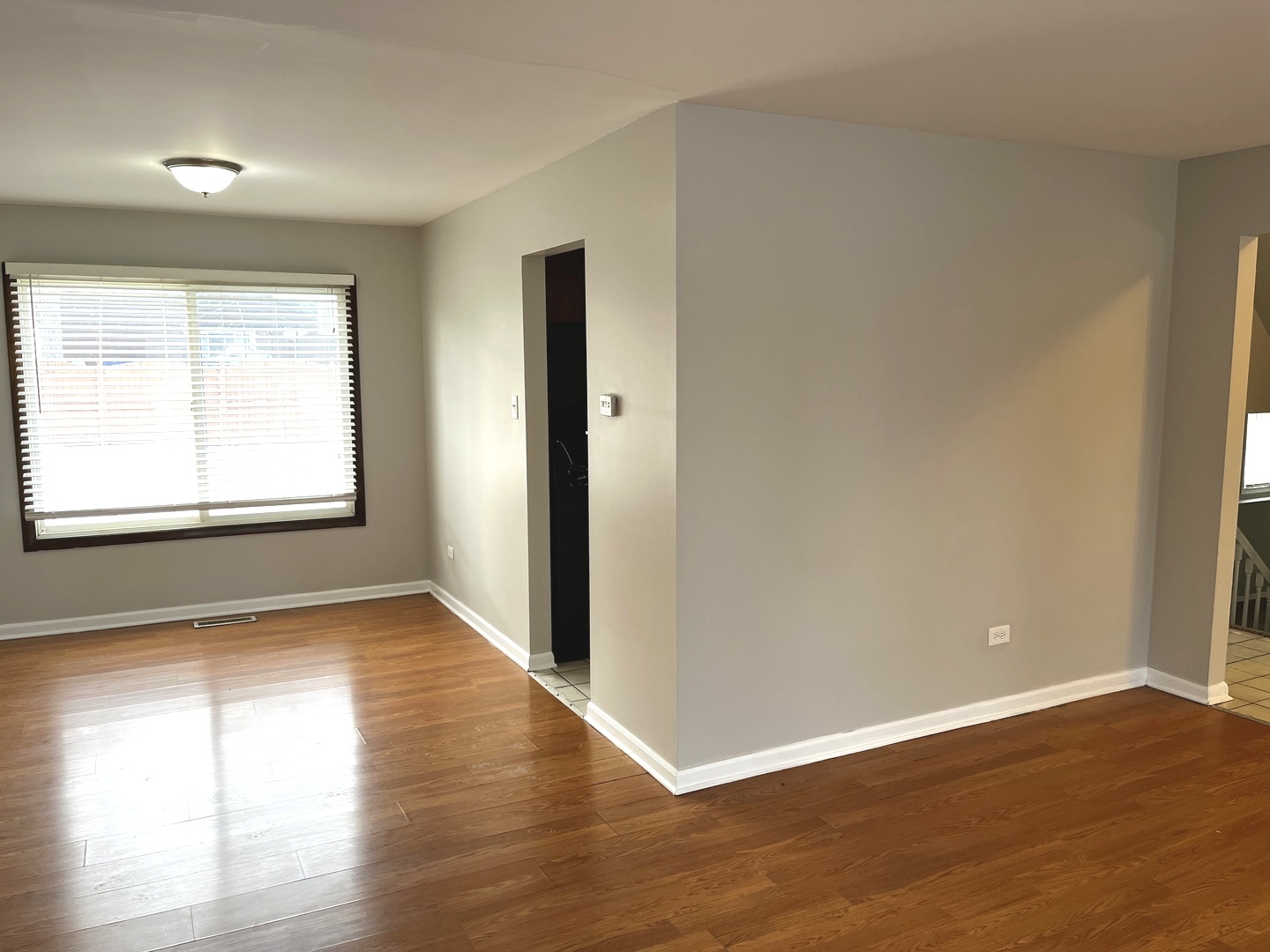 Residential in Richton Park 3