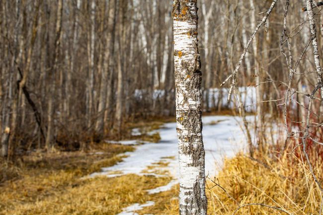 TBDE80 Cormant Rd (26).jpg | Image 30
