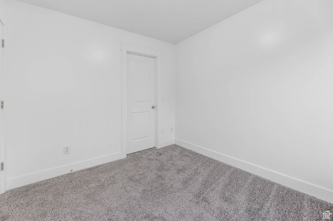 New Carpet | Image 34