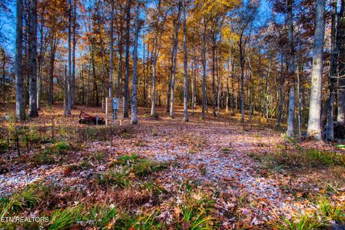 54 E Ridge Rd, Allardt, TN, 38504-6074 | Card Image