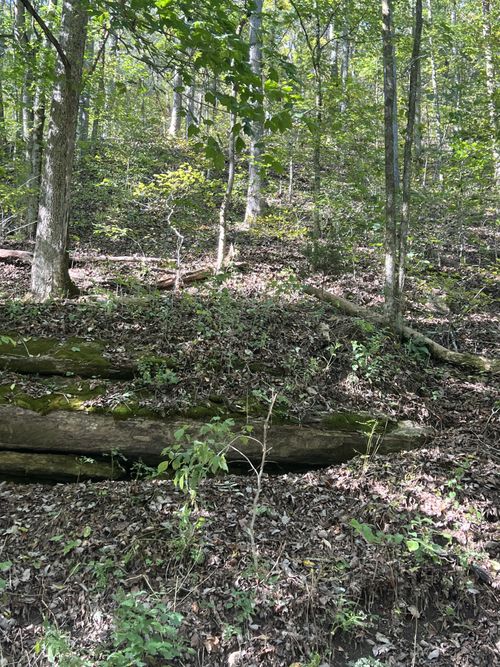 0 Neeley Creek Rd, Celina, TN, 38551 | Card Image