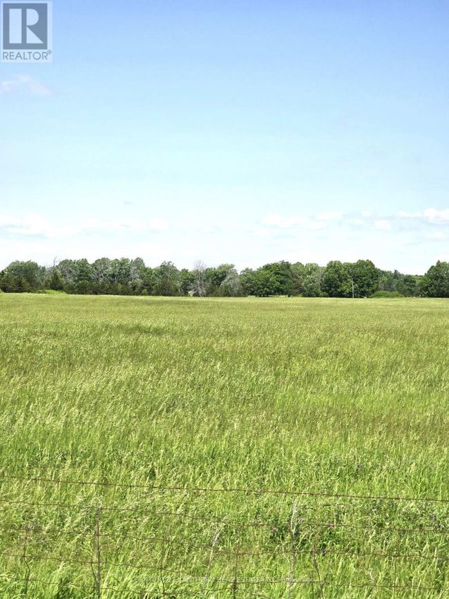 4893 Old Highway 2 Highway, Home with 4 bedrooms, 2 bathrooms and 9 parking in Belleville (Belleville Ward) ON | Image 15
