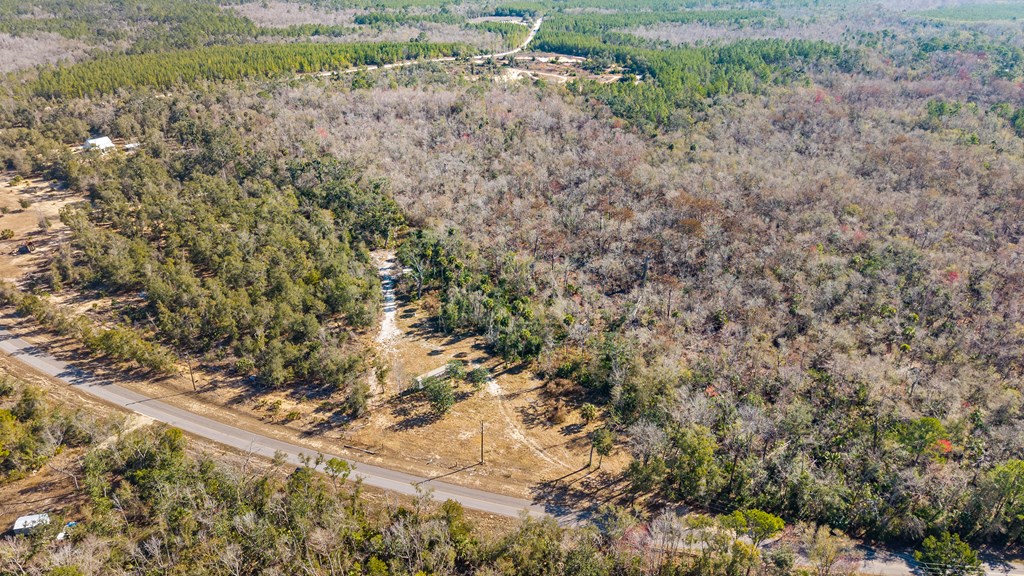 Land in Steinhatchee 5
