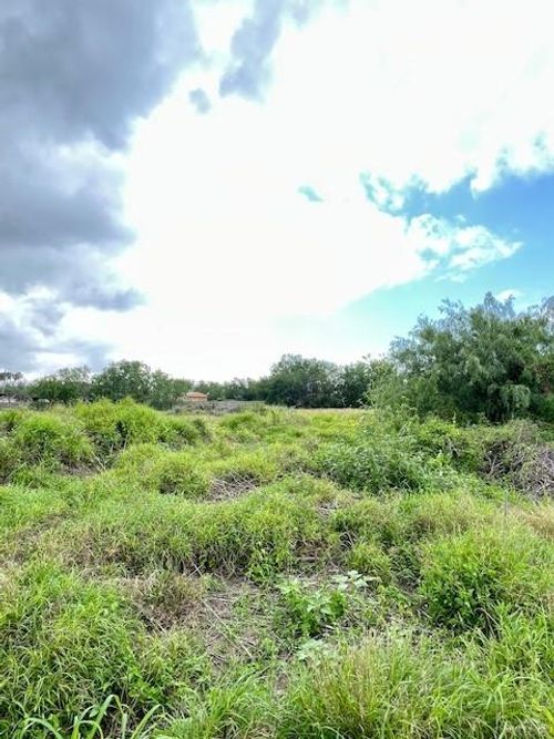 704 Monterrey Drive, Weslaco, TX, 78599 | Card Image