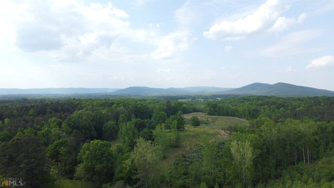 0 Autry Rd Sw, Home with 0 bedrooms, 0 bathrooms and null parking in Plainville GA | Image 14