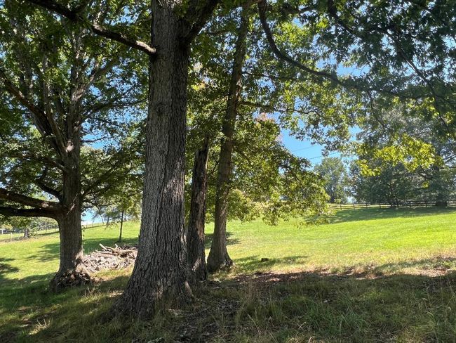0 Colonade Dr, Home with 0 bedrooms, 0 bathrooms and null parking in Abingdon VA | Image 6