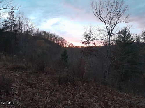 253 Honey Dew Ln, Watauga, TN, 37694-3090 | Card Image