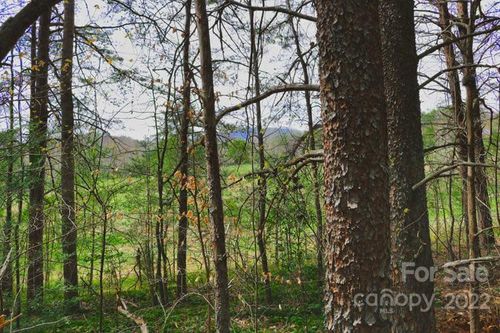 87-0 Westridge Dr, Lake Lure, NC, 28746 | Card Image