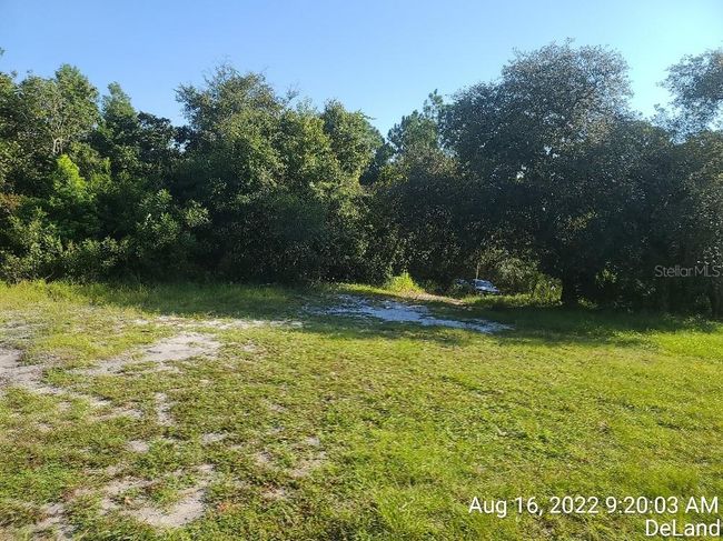 trail leading to back of property. | Image 4