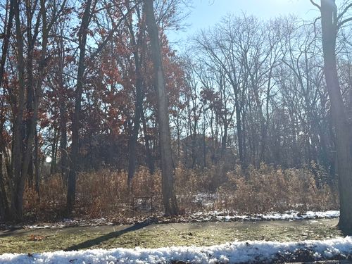 734 Feather Sound Dr, Bolingbrook, IL, 60440-1289 | Card Image