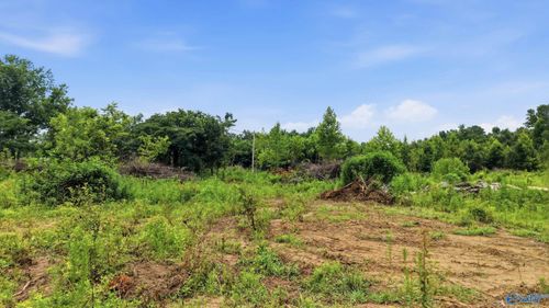 lot-3-319 County Road 315, Bryant, AL, 35958 | Card Image