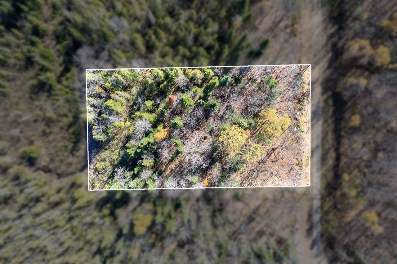 Land in Saint-Didace 2