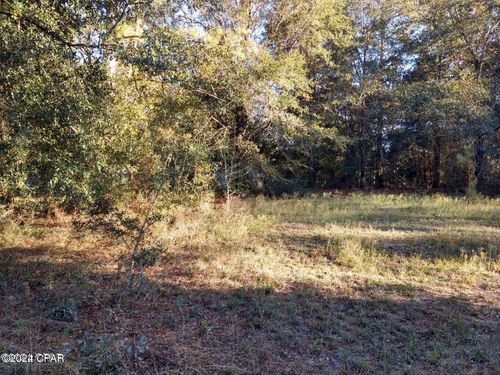 0 Marian Dr, Bonifay, FL, 32425 | Card Image