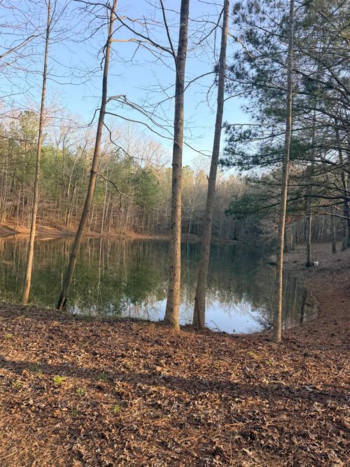 5416 County Highway 122, Hamilton, AL, 35570-3934 | Card Image