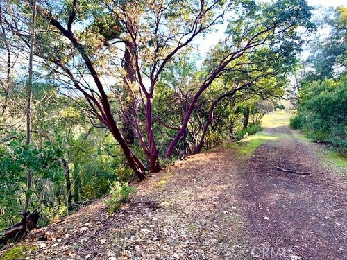 7333 Tehama, Nice, CA, 95464 | Card Image