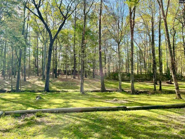 3909 E Peach Rd, House other with 3 bedrooms, 2 bathrooms and null parking in Ridgeway SC | Image 26