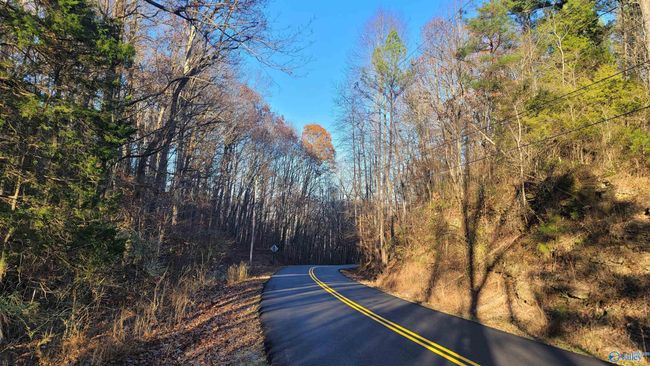 80 acres Rock Creek Rd, Home with 0 bedrooms, 0 bathrooms and null parking in Eva AL | Image 9