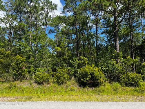 25 W Boiling Spring Rd, Boiling Spring Lakes, NC, 28461 | Card Image