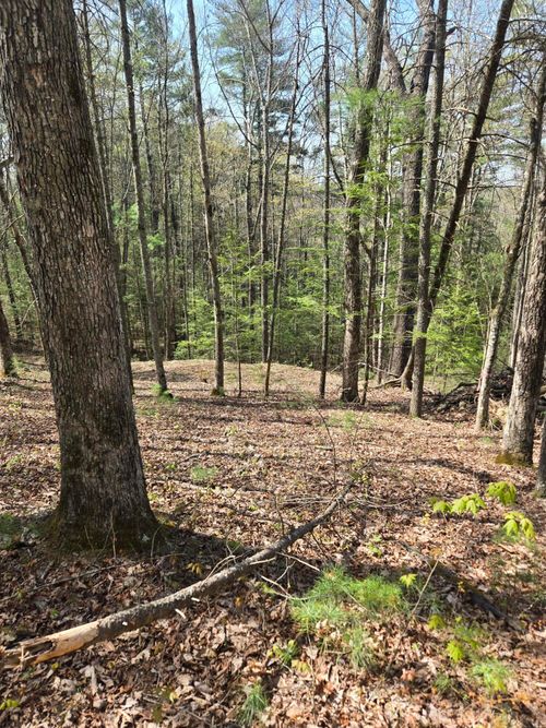 lot-11-999 Victory Falls Rd, Campton, KY, 41301-8310 | Card Image