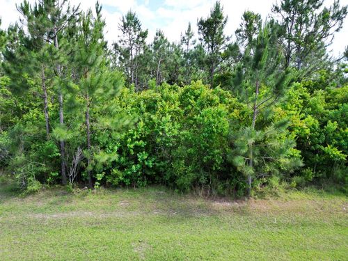 110 Torrey Pine Trl, Wewahitchka, FL, 32465-3683 | Card Image