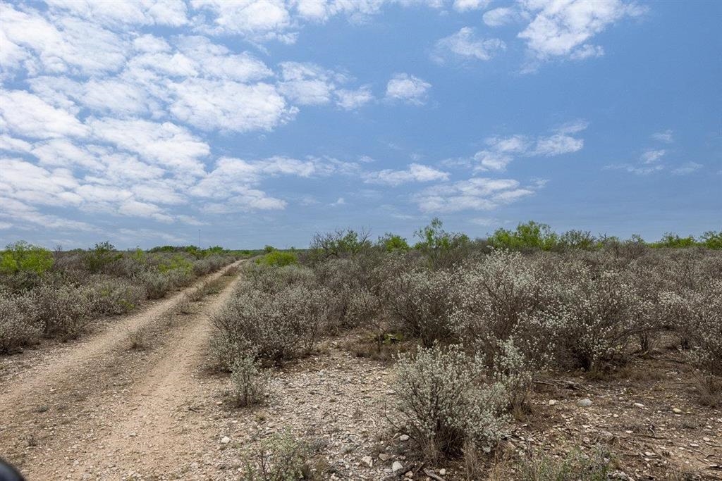 Land in Del Rio 3