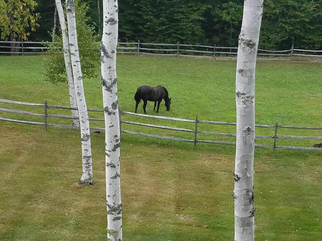 484 Route 12, House other with 4 bedrooms, 4 bathrooms and null parking in Hartland VT | Image 46