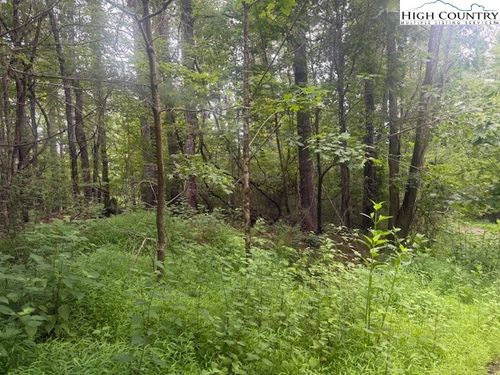TBD Nikanor Rd, West Jefferson, NC, 28694 | Card Image