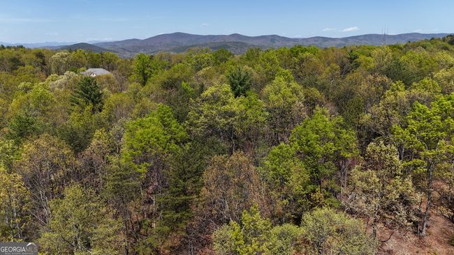 LOT 19 Heyden Ridge Dr, Home with 0 bedrooms, 0 bathrooms and null parking in Clarkesville GA | Image 14