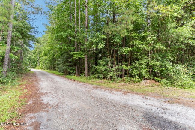 491 Argonne Rd, Home with 0 bedrooms, 0 bathrooms and null parking in Boiling Spring Lakes NC | Image 13