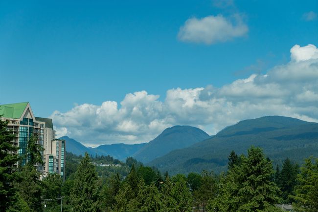 View of mountain backdrop featuring a heavily wooded area | Image 30
