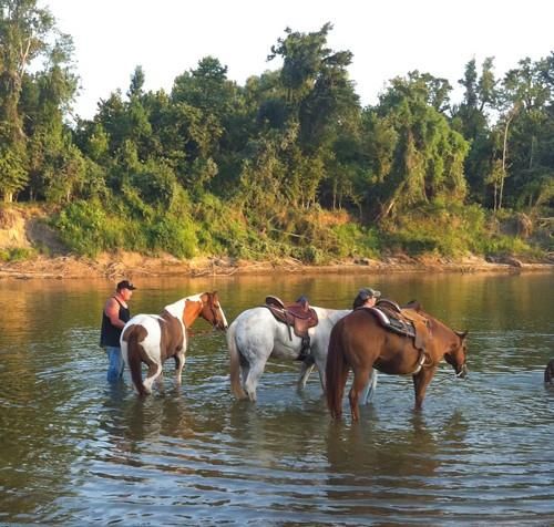 61 Shoreline Dr, Cleveland, TX, 77327-6600 | Card Image