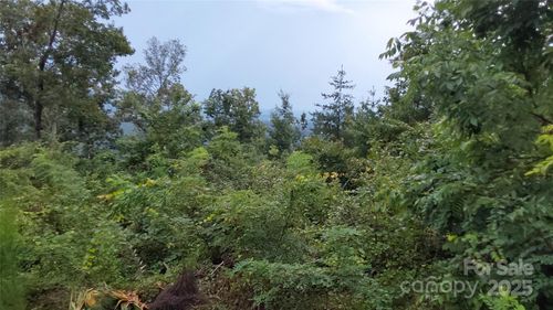 0 Brighton Dr, Bostic, NC, 28018 | Card Image