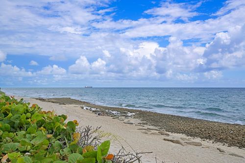 apt-2-304-4200 Ocean Dr, Riviera Beach, FL, 33404-2833 | Card Image
