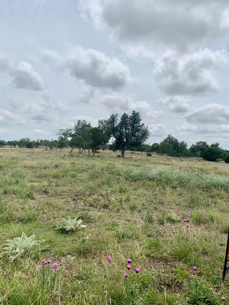 Land in Fredericksburg 5