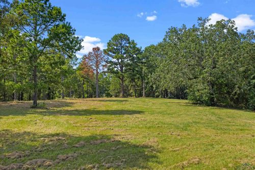 Lot 29 Frances Ln, Diana, TX, 75640 | Card Image